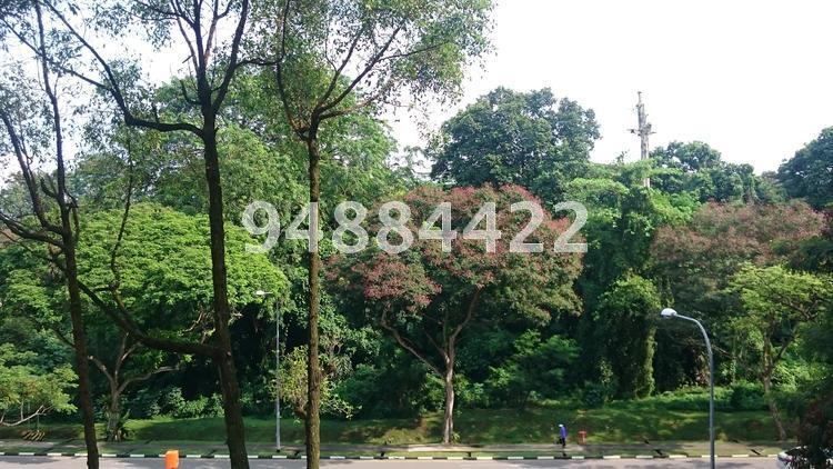 Blk 601 Ang Mo Kio Avenue 5 (Ang Mo Kio), HDB 3 Rooms #116262022